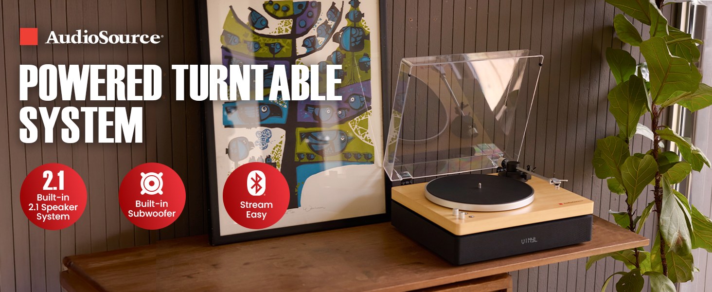 natural wood turntable