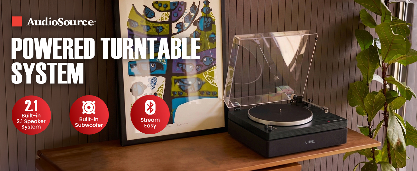 black wood turntable